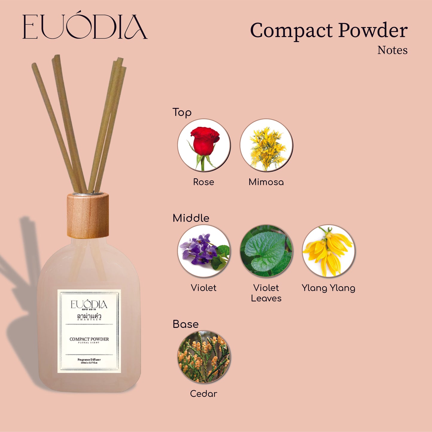 Euodia x AMAHTAEW Compact Powder Diffuser 100ml