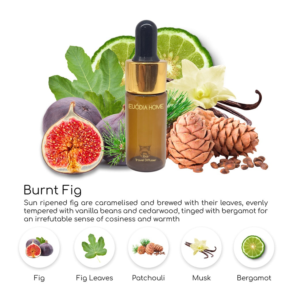 Burnt Fig Travel clip Fragrance Diffuser